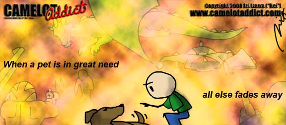 When a pet is in great need, all the games and toys somehow just fade in importance...